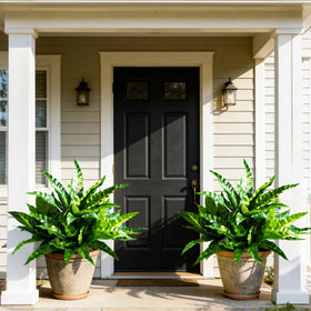 Cherica fake ferns hanging in a basket for a vibrant entryway accent.
