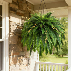 Cherica faux fern weatherproof patio durable design withstands rain and sun.