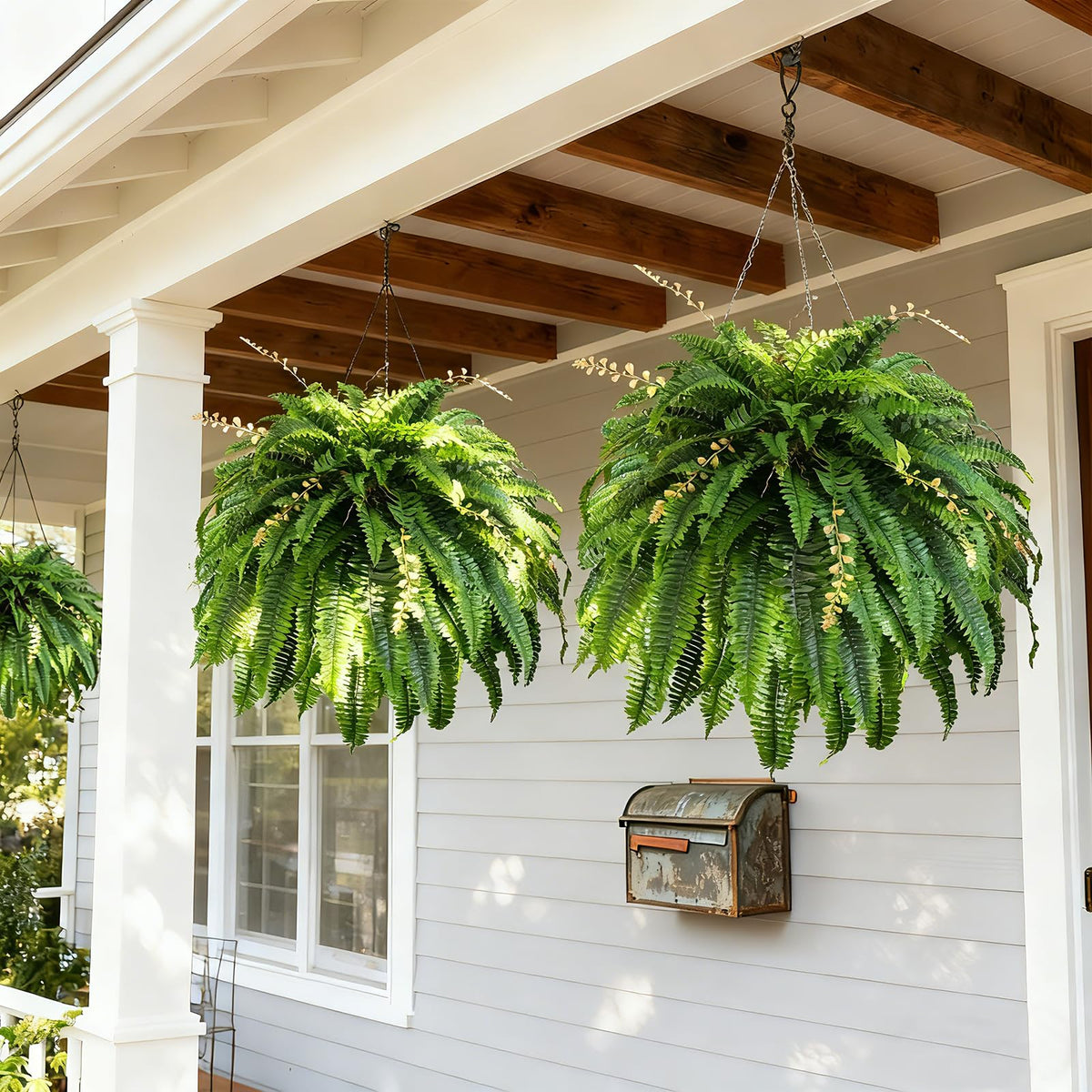 Cherica fern detailed closeup with embossed veins and natural look.