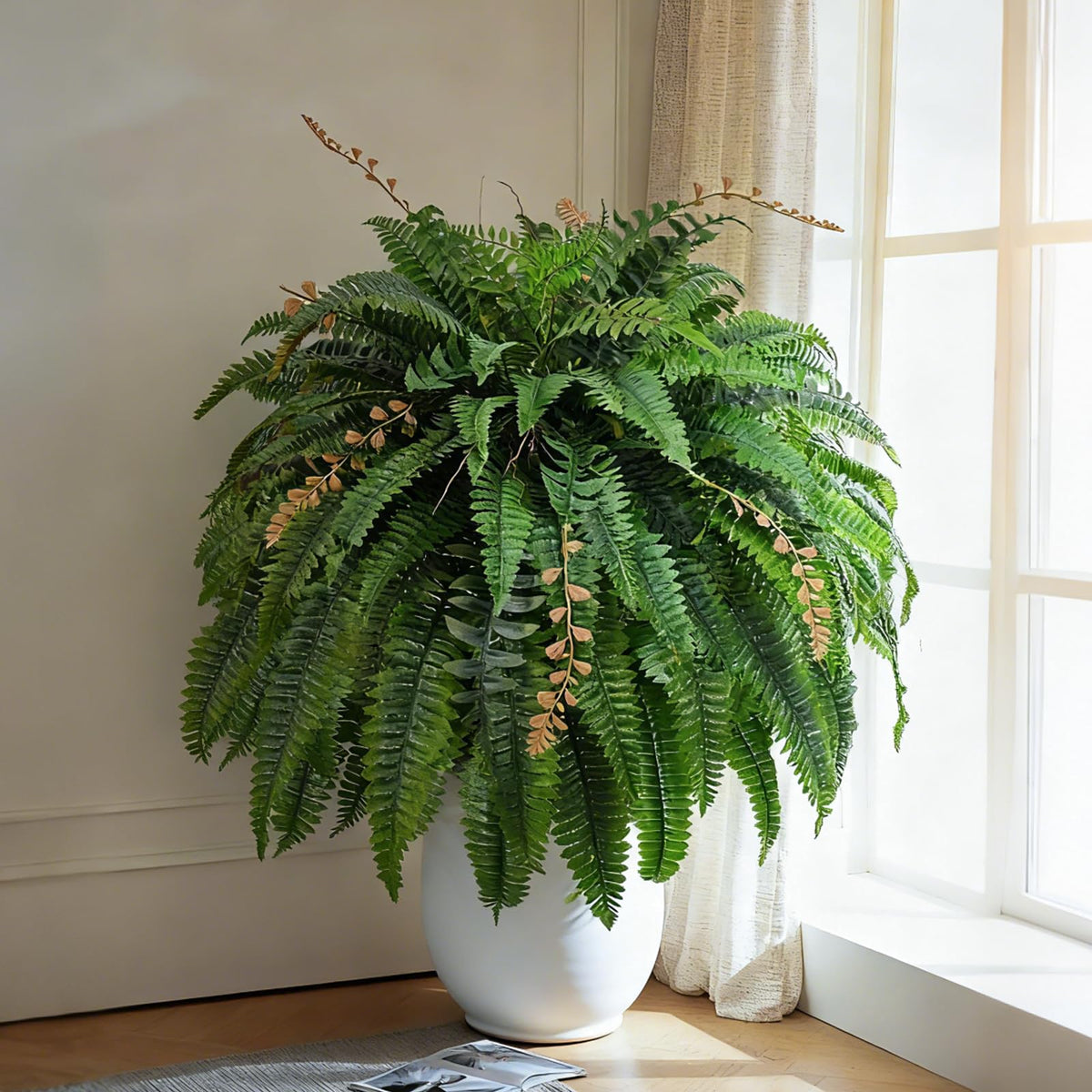 Cherica fern porch decor indoor-outdoor flexibility for balconies and courtyards.