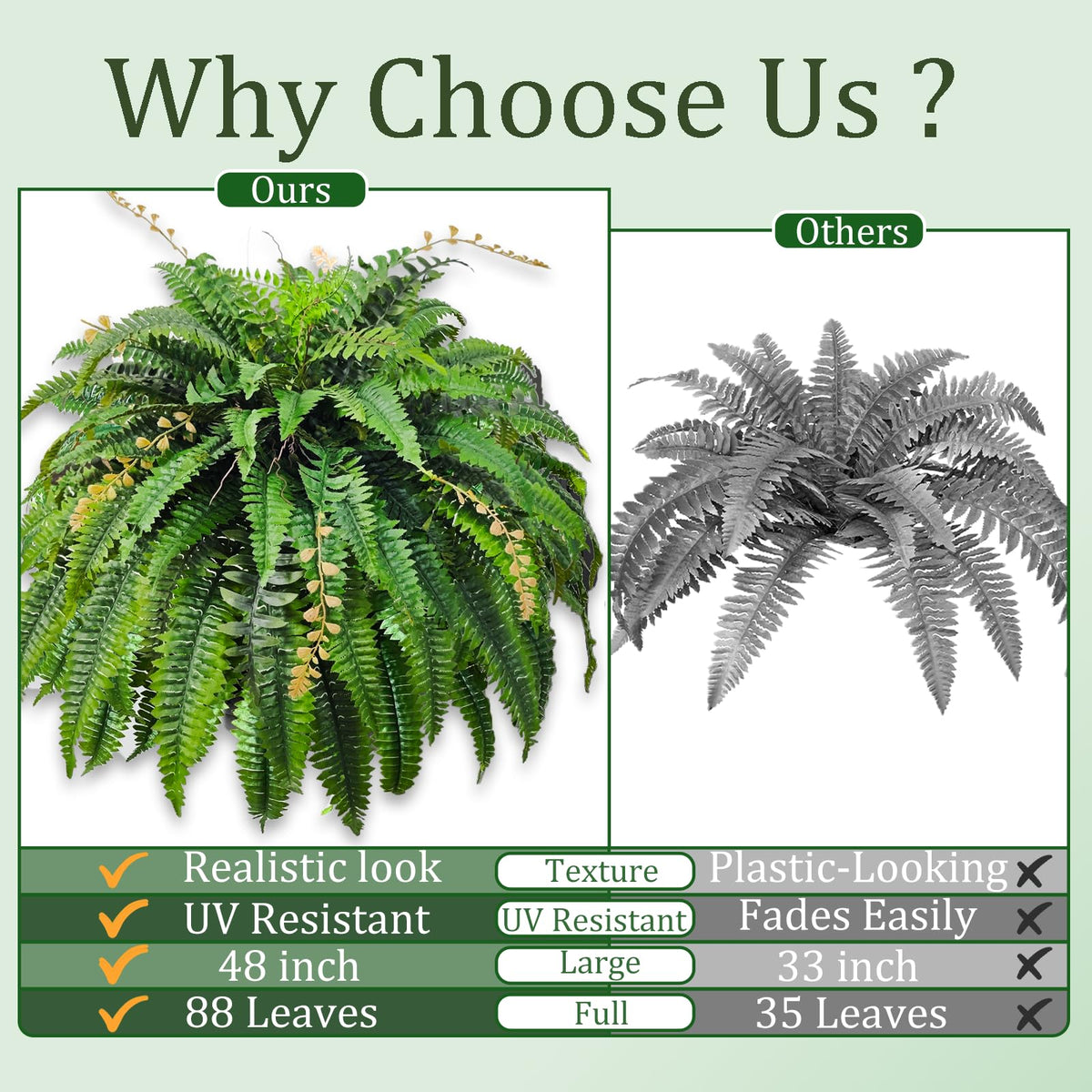 Cherica fern porch decor ready to hang or pot for instant ambience.