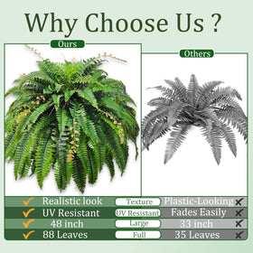 Cherica fern porch decor ready to hang or pot for instant ambience.