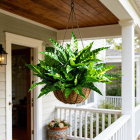 Cherica simple fluff and placement for instant greenery