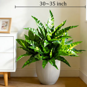 Cherica green wall accent with stacked ferns for depth