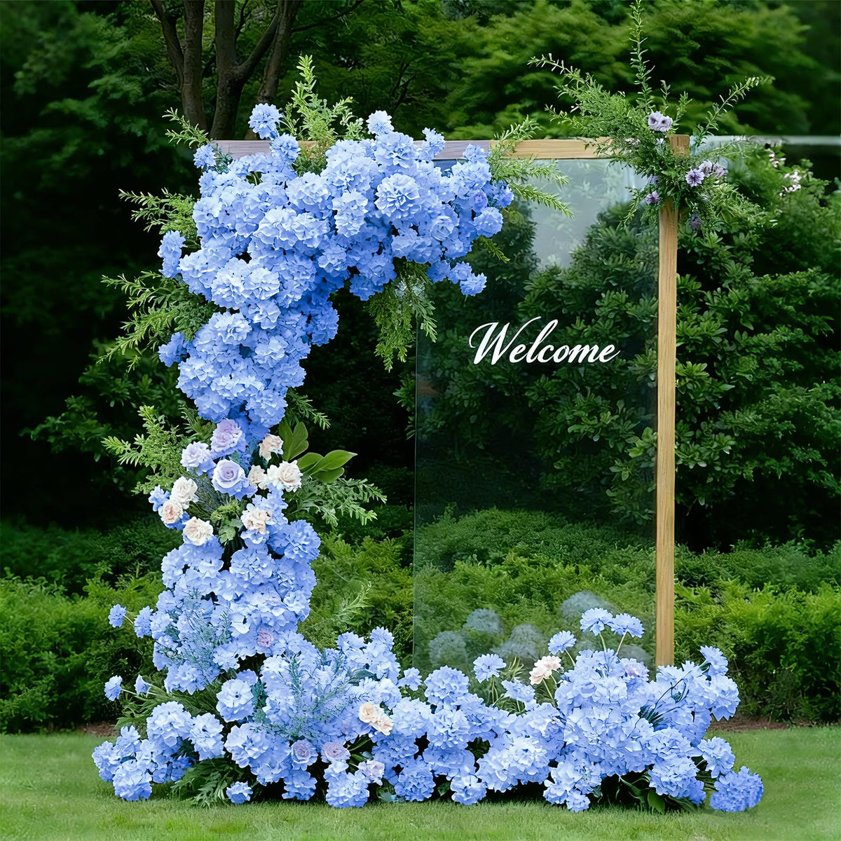 Cherica maintenance-free hydrangea that stays bright with no watering