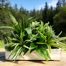 Cherica diverse stem collection 07 supports creative outdoor arrangements.