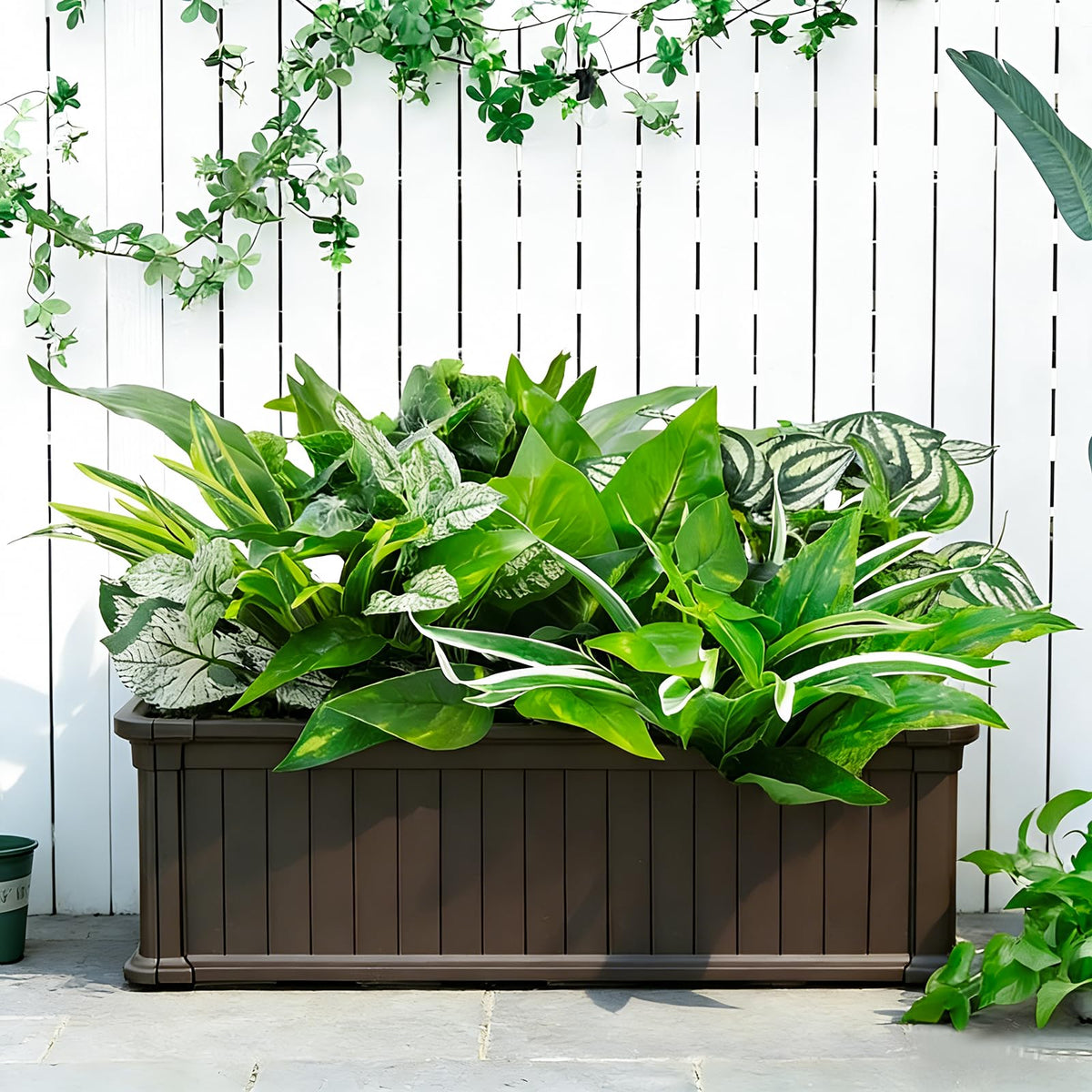 Cherica front-porch setup 05 provides year-round greenery with no maintenance.