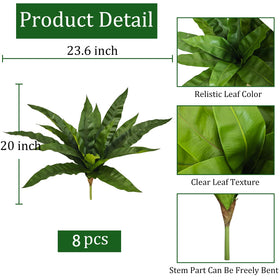 Cherica outdoor fern in patio scene enhances curb appeal