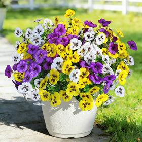 Cherica pansy stems arranged in hanging basket adds instant outdoor charm