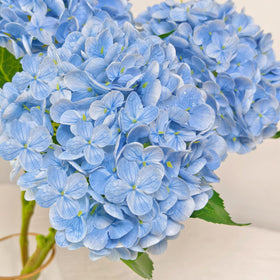 Cherica Real Touch hydrangea petals close-up, lifelike texture for elegant displays.
