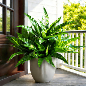 Cherica weatherproof frame provides durable garden greenery