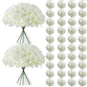 Cherica white hydrangea heads for bulk arrangements and long-lasting centerpieces.