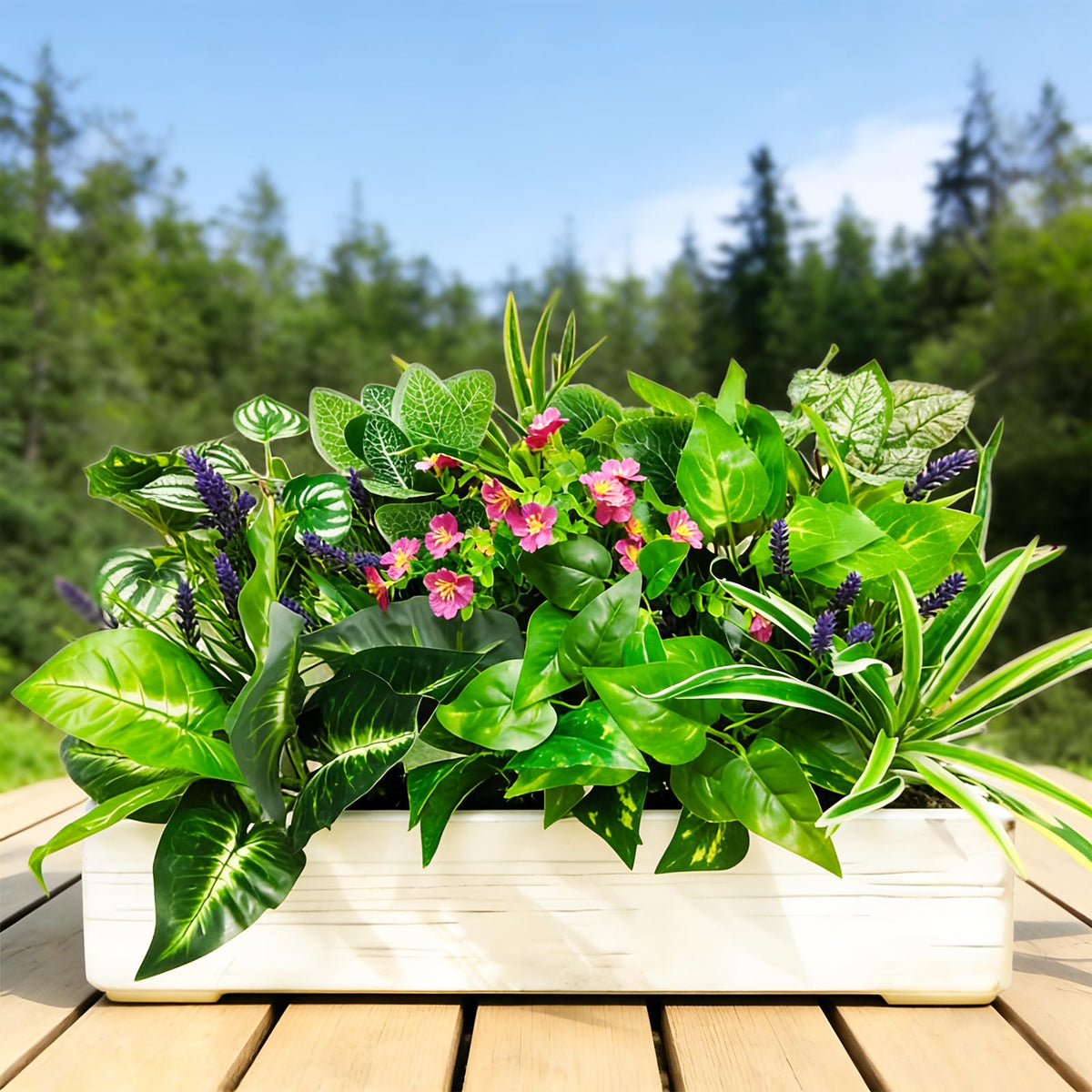 Cherica year-round outdoor greenery for yards and gardens