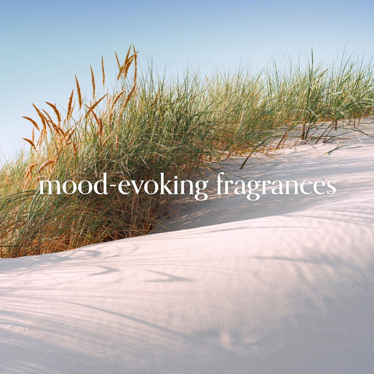 Chesapeake Bay Serene Waters three wick design fills rooms with fragrance