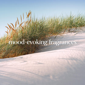 Chesapeake Bay Serene Waters three wick design fills rooms with fragrance