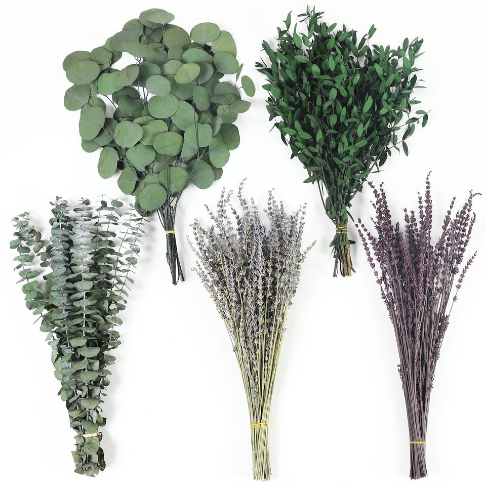 Chflost 120+ stems dried eucalyptus lavender for lush wall decor.