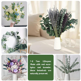 Chflost ready-to-display stems arrive pre-arranged and maintenance-free.