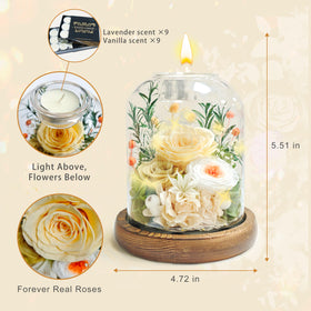 Chicvault glass dome with warm LED lighting creates cozy ambiance.