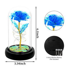 Childom blue rose dome enhances living room decor
