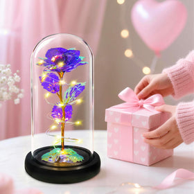Childom glass dome display highlights the eternal flower with a crystal-clear presentation