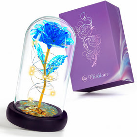 Childom glass dome rose gift box enhances any decor