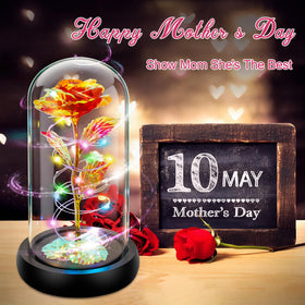 Childom Mother's Day rose gift in glass dome perfect for cherished moments.