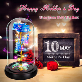 Childom Mothers Day rose offers zero maintenance and long-lasting beauty