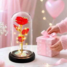 Childom rose in glass dome gift box showcases timeless elegance for celebrations