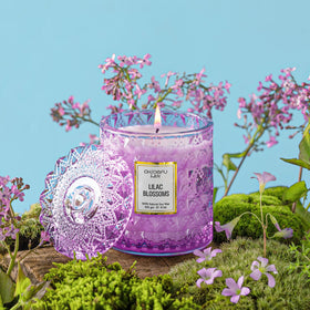 Chloefu LAN Lilac Blossoms ambience shot emphasizes warm, floral glow