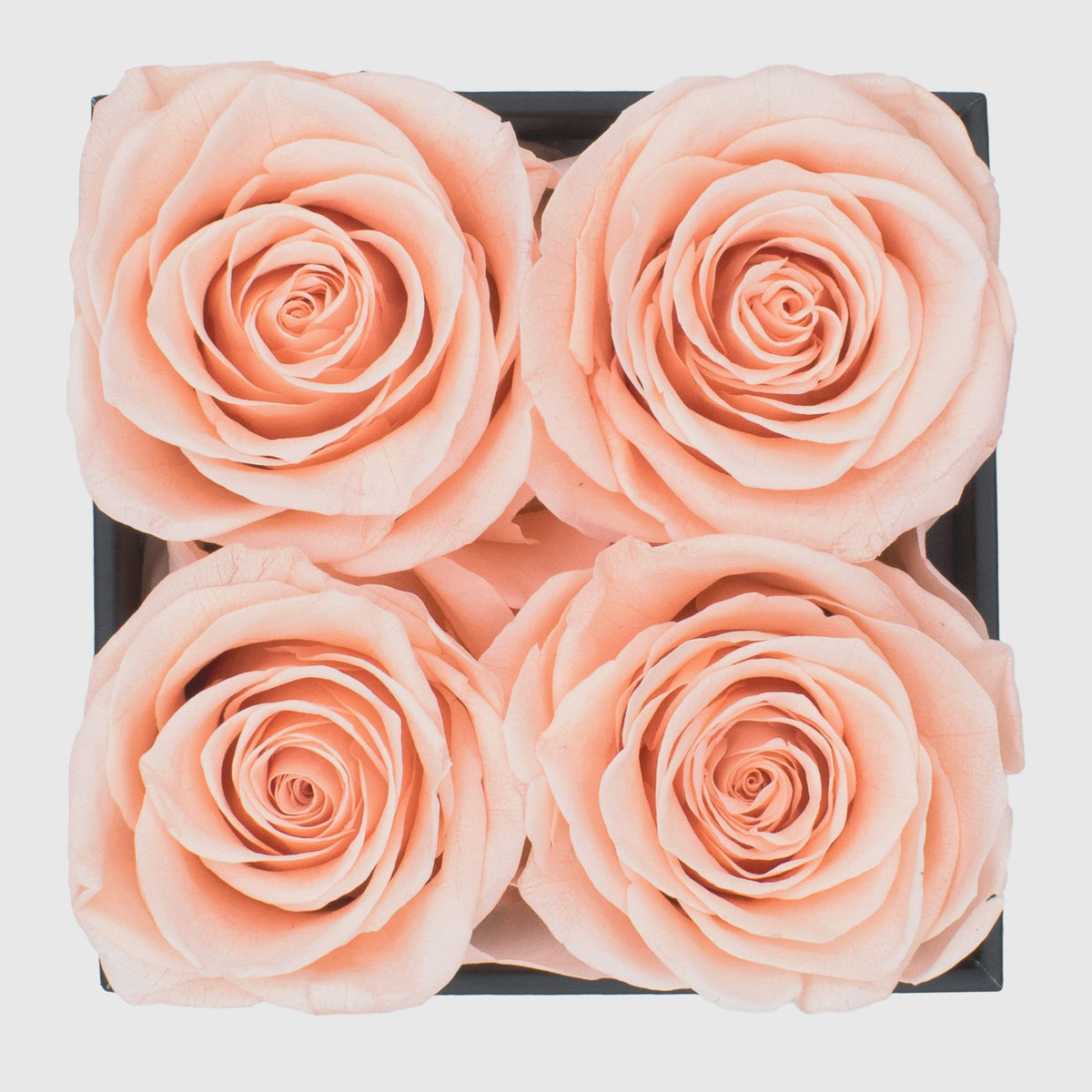 Chloe's Graceful Fleurs black box roses for contemporary celebrations.