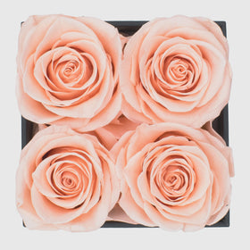 Chloe's Graceful Fleurs black box roses for contemporary celebrations.