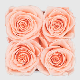 Graceful Fleurs four large preserved roses in gold-printed box, long-lasting keepsake