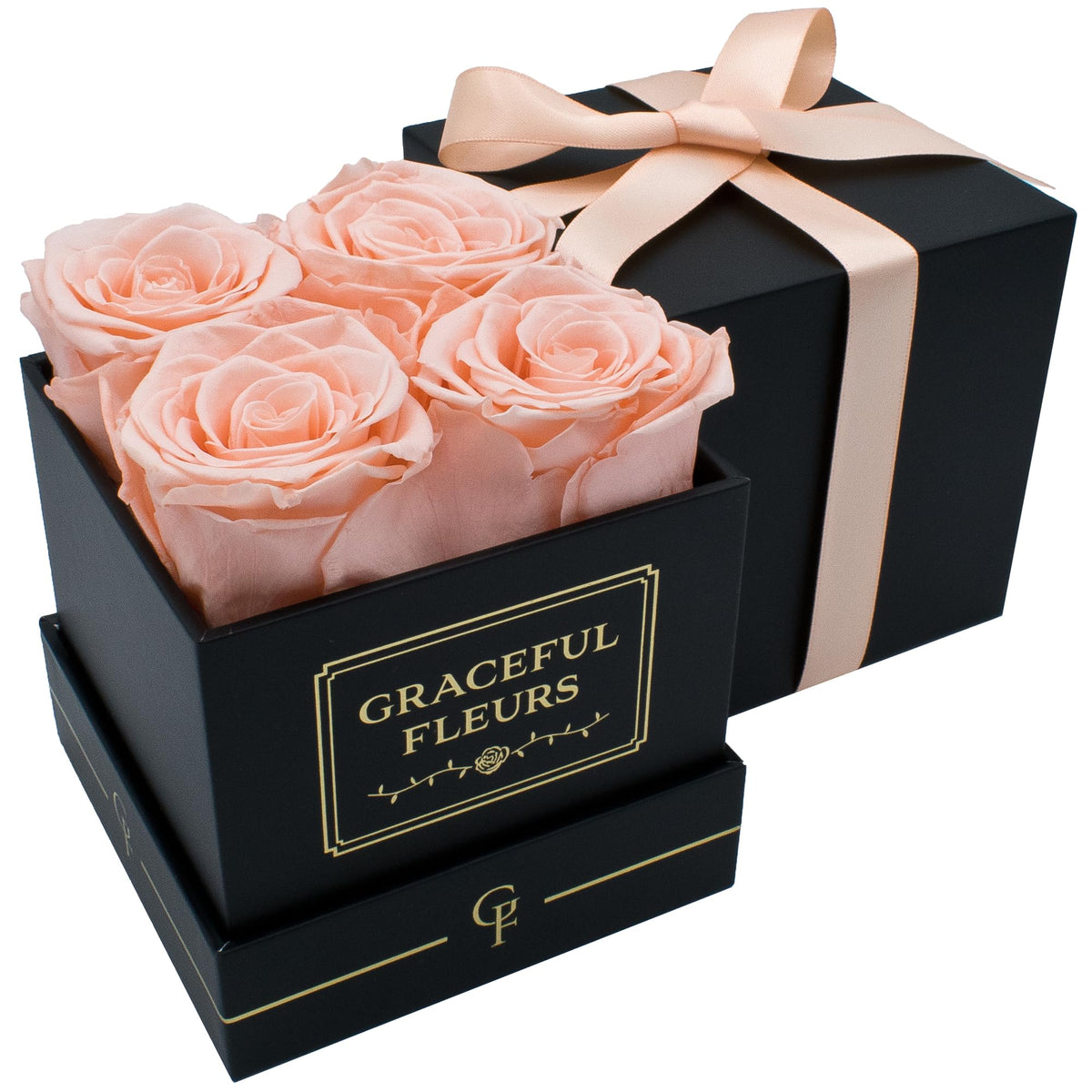 Chloe's Graceful Fleurs light peach preserved roses in a box for lasting gifting.