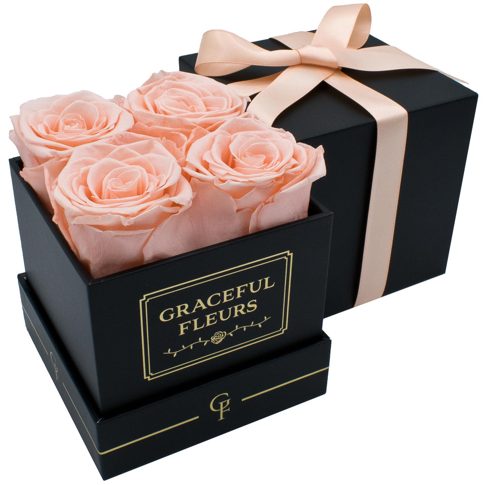 Chloe's Graceful Fleurs light peach preserved roses in a box for lasting gifting.
