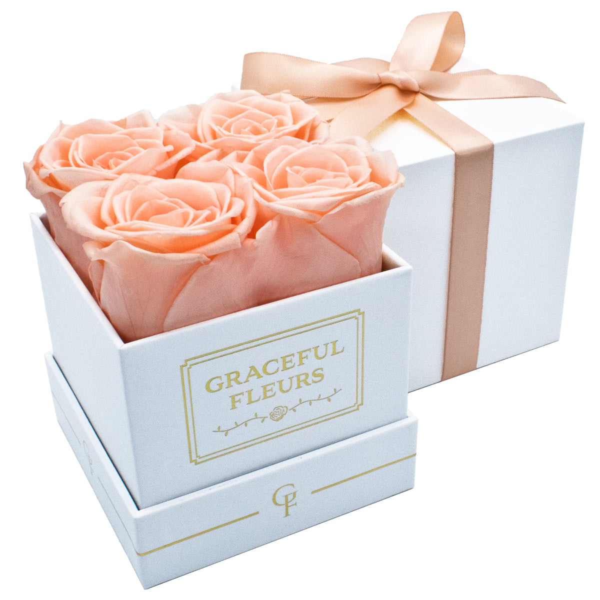 Chloe's Graceful Fleurs preserved roses in light peach, boxed for gift-giving
