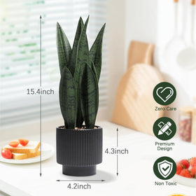 Chonsun Sansevieria snake plant in desk-scene adds easy-care style.