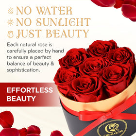 CHOSIAROSE forever roses gift box closeup showing elegant presentation