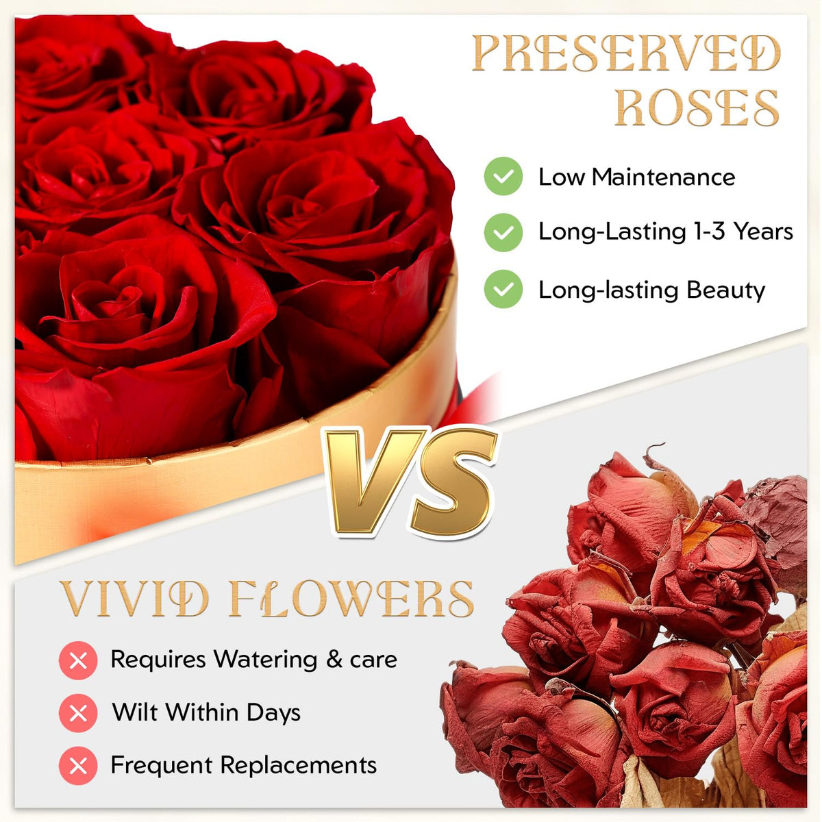 CHOSIAROSE Valentine's Day roses gift conveying lasting romance