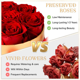 CHOSIAROSE Valentine's Day roses gift conveying lasting romance