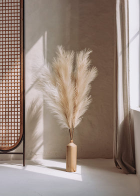 Coffee-stem variation from Chousse pampas grass tall set for versatile styling.