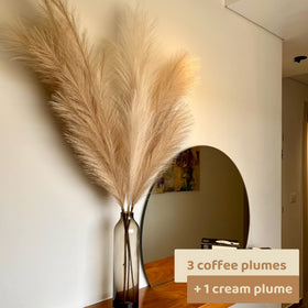 Cream-stem detail from Chousse pampas grass tall set highlighting texture.