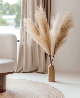 Chousse pampas grass arranged in a vase showcasing a natural coffee and cream mix.