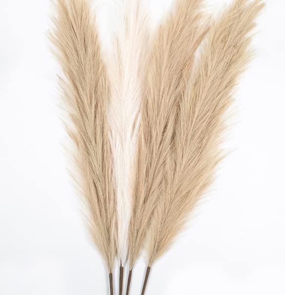 Packaging arrival image of Chousse pampas grass tall 43-inch set in bag.