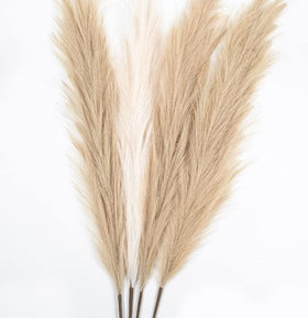 Packaging arrival image of Chousse pampas grass tall 43-inch set in bag.