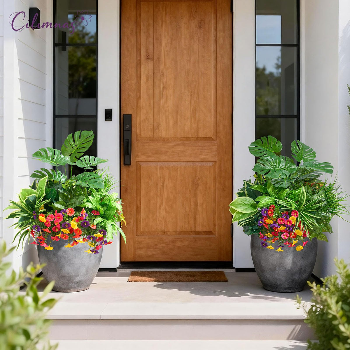 Cilimnas maintenance-free outdoor plants stay fresh with light cleaning