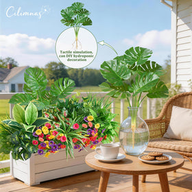 Cilimnas pet-friendly outdoor plants safe for pets near decor