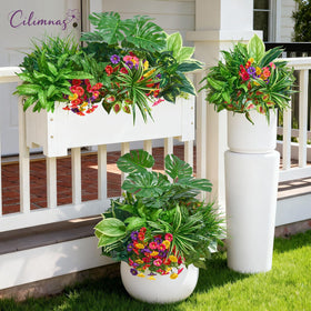 Cilimnas versatile decor for gardens, patios, and window boxes