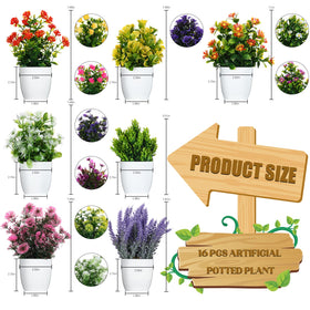 Cindeer 16-piece mix of small potted plants for versatile shelf styling.
