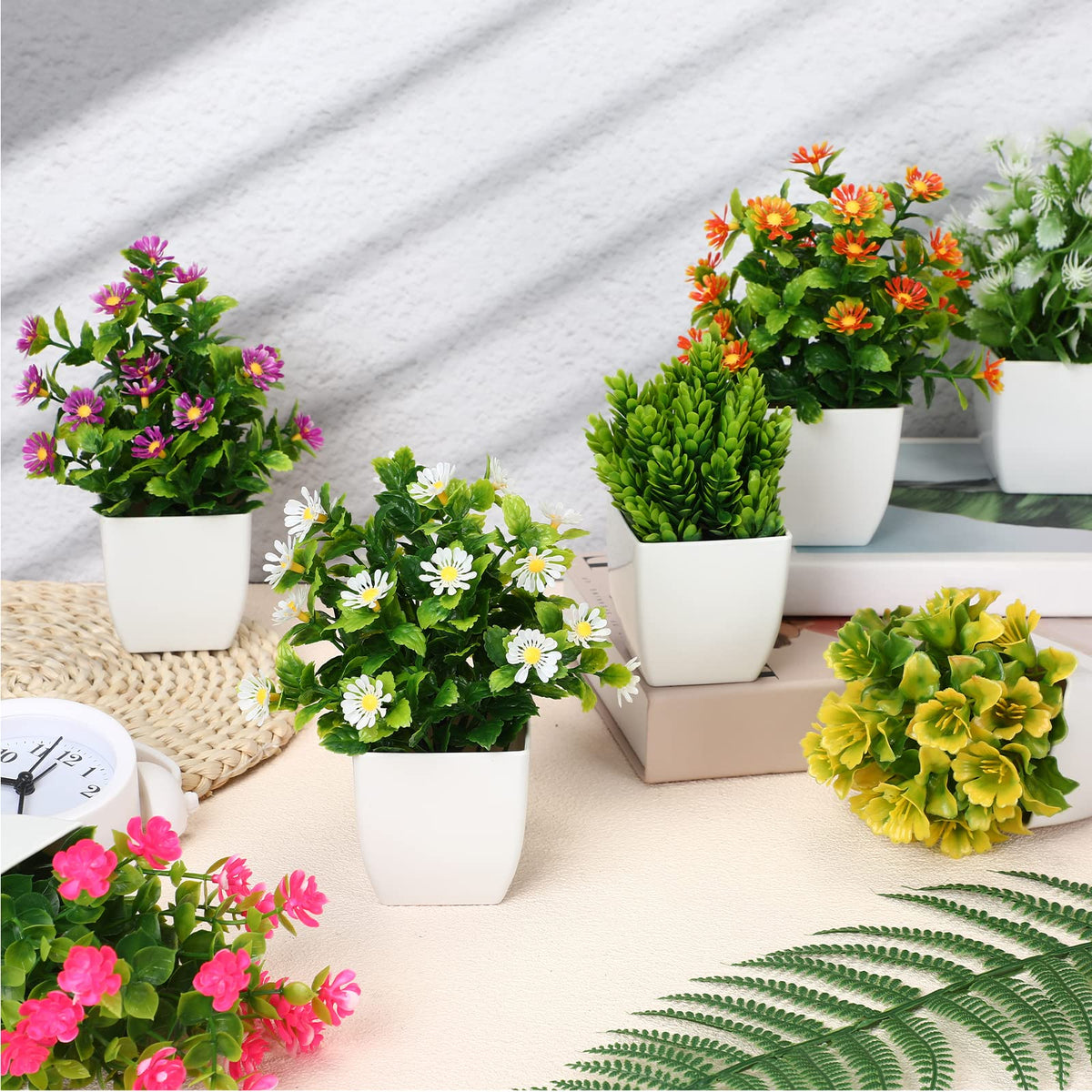 Cindeer plastic pots with compact plants suitable for indoor/outdoor use.
