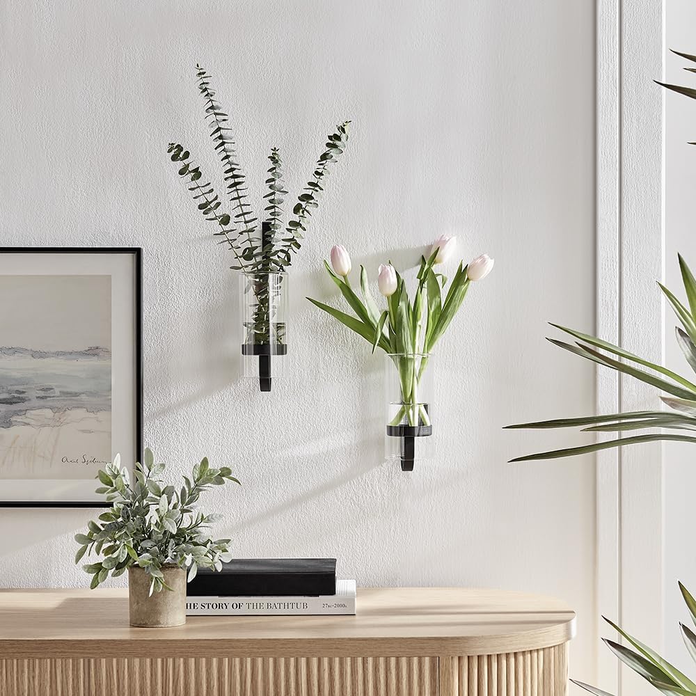 CISEANOL glass tubes close-up showcasing clear vase for floral displays